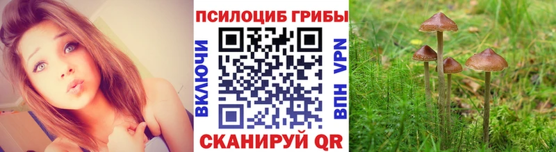 Псилоцибиновые грибы Psilocybine cubensis  Юрьевец 
